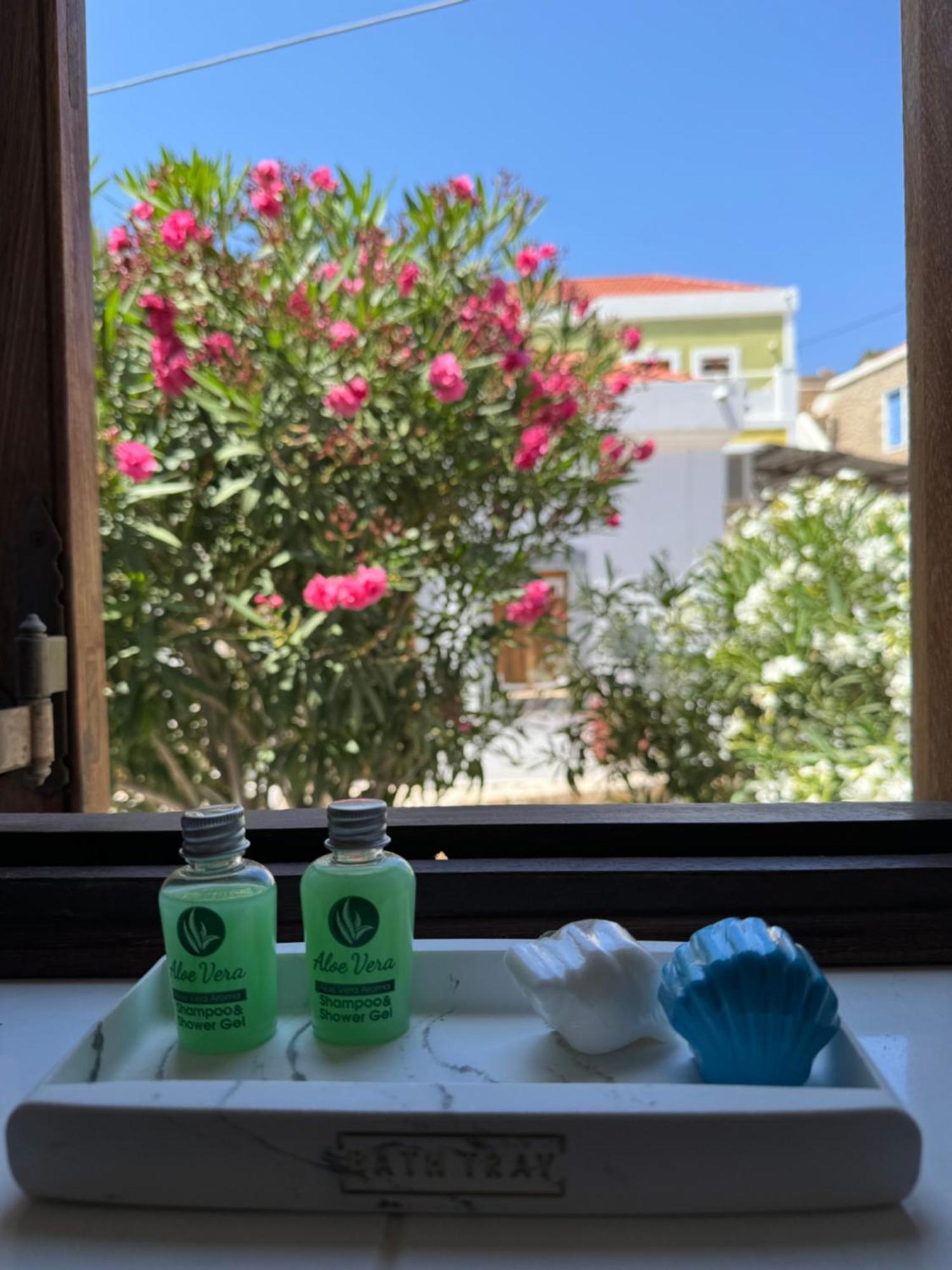 Villa Leleka Chalki Town Dış mekan fotoğraf
